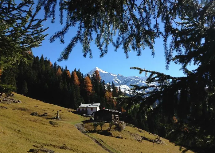 Alpesi faház Del Bosco *